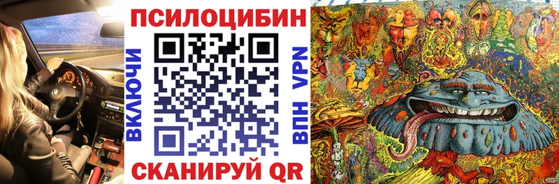 Купить где  Уварово  Псилоцибиновые грибы MAGIC MUSHROOMS 