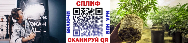 Купить закладки  Уварово  Бошки Шишки индика 
